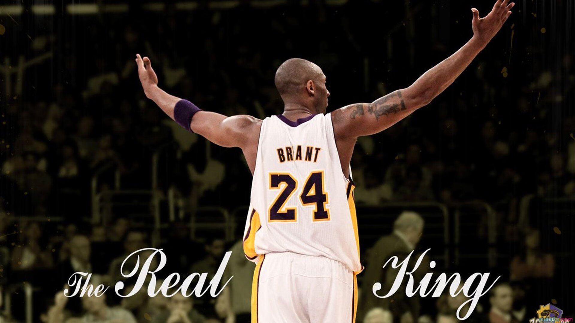 “德甲最后几轮逐渐升温，夺冠仍悬未决”，德甲收官